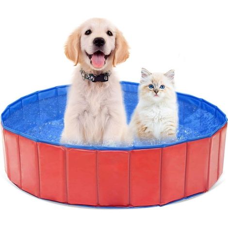 Piscine pour Chien, Piscine pour Chien Pliable, Piscine pour Animaux, Pataugeoire pour Chiens, Piscine Portable Chien, Piscine pour Animaux en PVC, Piscine pour Chiens et Enfants (60 x 20 cm) (1/5)