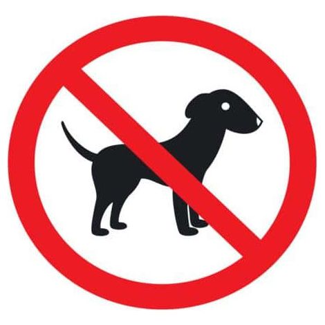 cane UV polimero adesivo plastificato proibito