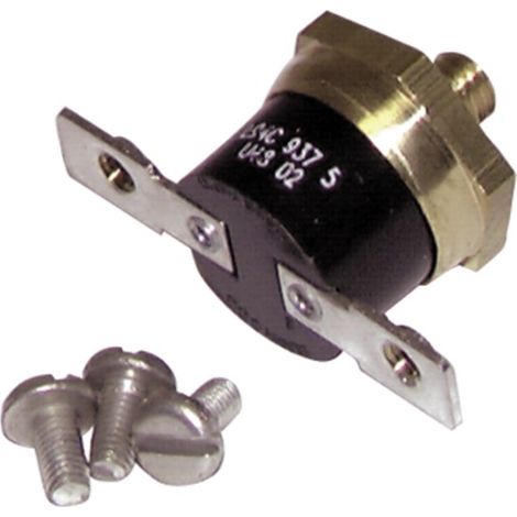 Thermostat mit Begrenzer 94°C