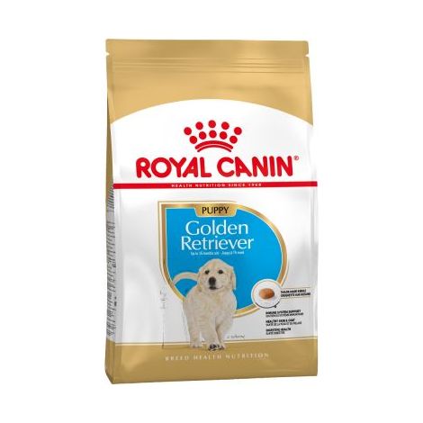 SHN Breed Golden Retriever Jun 12kg