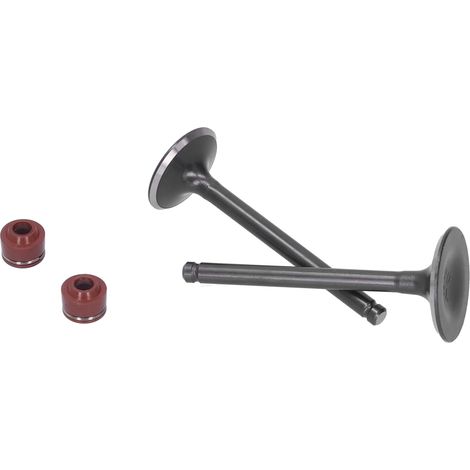 Kit 4 Temps YX 140cc Soupapes Admission Échappement Joints Tige pour Moto Pit Bike PIT PRO Thumpstar Quad ATV Go Kart Dune (1/5)