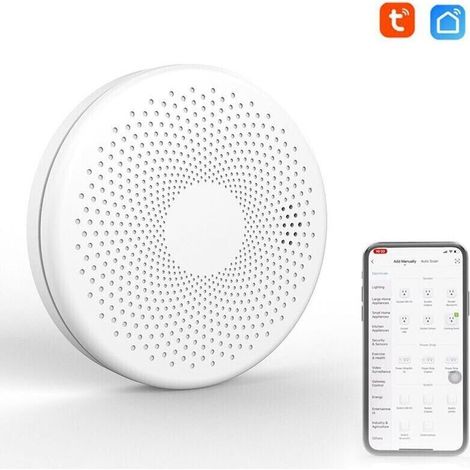 [JAMAIS UTILISÉ]Détecteur de fumée et de monoxyde de carbone intelligent - Wifi 2 en 1 - Co détecteur de son de gaz - Fonction d'alarme de lumière stroboscopique (1/4)