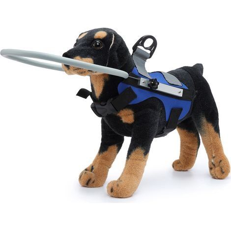 – Harnais pour chien aveugle – Gilet de protection anti-collision – Anneau de sécurité en aluminium – Pour chiens de 13 à 20 kg (1/5)