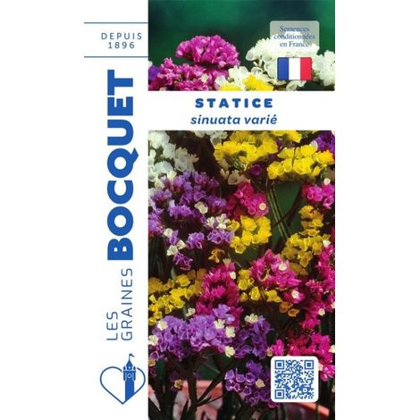 Statice sinuata varié - 0,5g