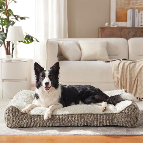 Panier Chien Grande Taille XL Orthopédique, Coussin Chien Dehoussable Lavable, Canapé pour Chiens Antidérapant Velours Floconné Doux, Lit Chiens Soutien Extra Épais (1/5)