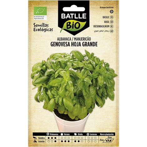 Graines Bio de Batlle - Basilic Grand Vert (1,5g) (1/5)