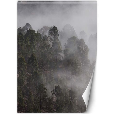 Fototapete Grüner Wald im Nebel 100x140 cm