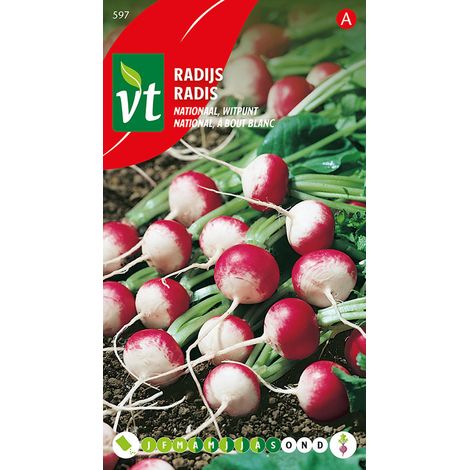 Radis National, à Bout Blanc - Ca. 10 gr (Livraison Gratuite) (1/2)