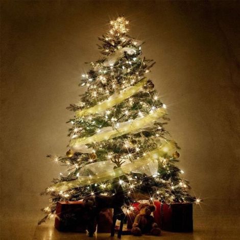 5m 50lights - Or blanc - Guirlandes de lumières féeriques à Double couche, nœuds de ruban de noël avec LED, o (1/4)