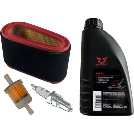 Bougie + filtre + huile SAE30 pour Alpina AT5 84, AT7 102, BT 98, SD, HC, C108, 18550199 (1/5)