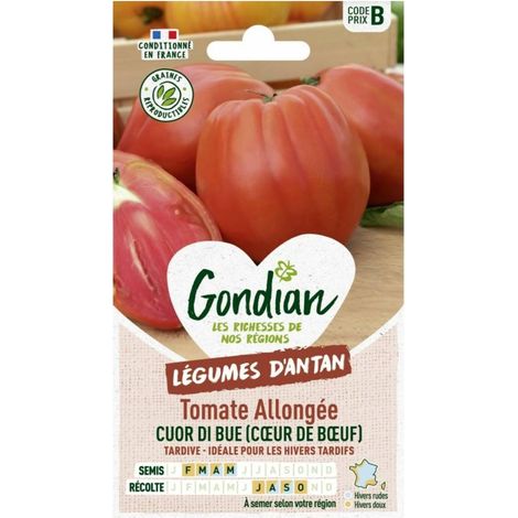 Sachet graines Tomate Cuor di Bue ( coeur de boeuf ) Gondian