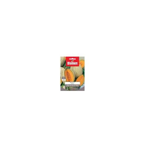 SEMI MELONE DELIZIA F1 IBRIDO BLUMEN (1/2)