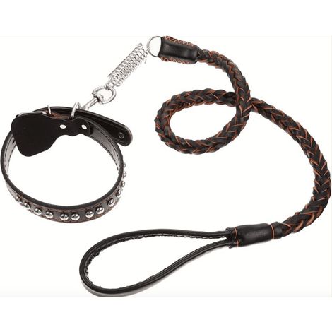Kit guainzaglio intrecciato treccia + collare marrone cani cane animali domestici pet 024sw (1/3)