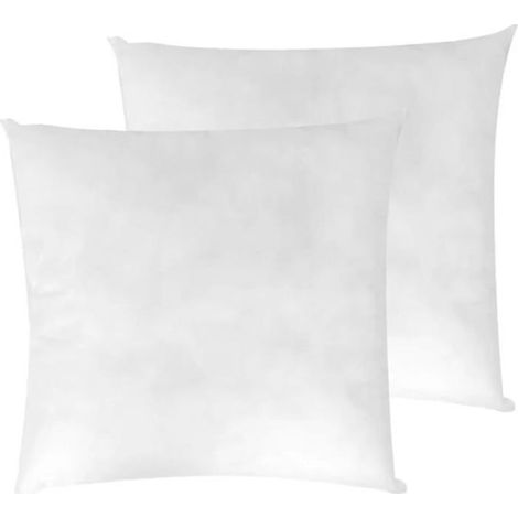 LNT s nouveaux textis - Coussins de Garnissage Ultra Gonflant Coussin Canapé Coussin à Recouvrir 60x60 cm (Lot de 2) (1/5)