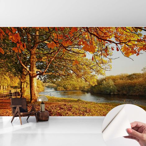 Fototapete Selbstklebend - trendige Wanddeko - Schlafzimmer - Wohnzimmer Herbst an der Küste 416x254 cm (1/5)