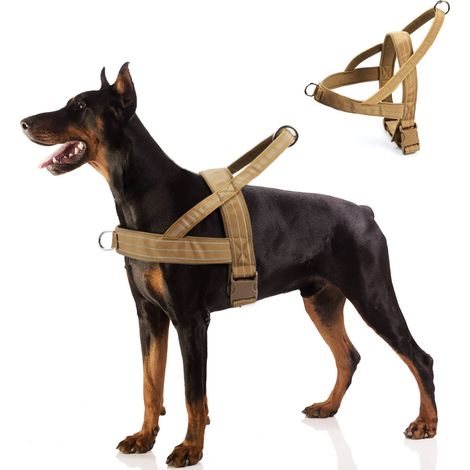 Harnais Chien, Harnais Anti Traction pour Chiens Réfléchissant Réglable Arnet pour Chien Respirant, Facile à Mettre,  (M)