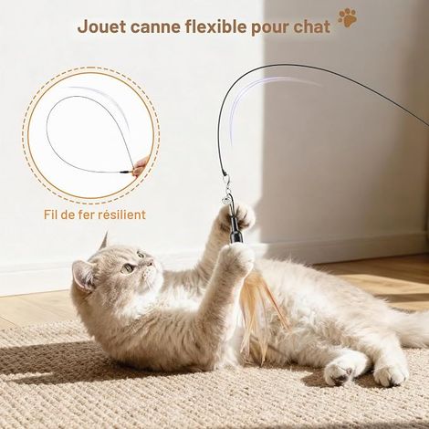 Plumeau de Jeu pour Chat, Canne à Pêche avec Une Baguette Extra Large de 88cm et Une Petite Clochette, Jouet Plumeau à Plumes pour Chat Chaton, Bâton Jouet Fil Chaser, Plume Brune Jouet canne à plume (1/4)