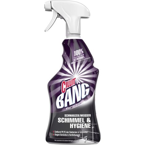 3056812 limpiador general 750 ml Atomizador