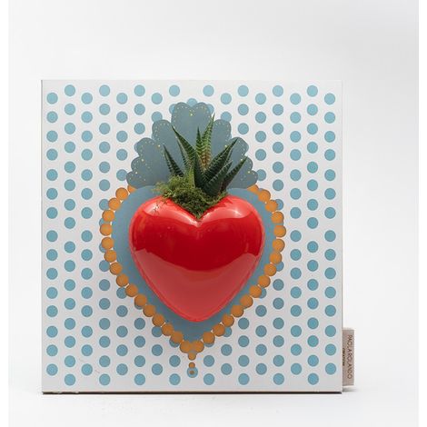 Pianta grassa Succulenta vaso ceramica Made in Italy Cuore Pois - Turchese