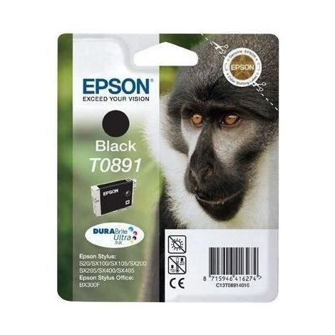 Epson T0891 Singe Cartouche dencre Noir (1/3)
