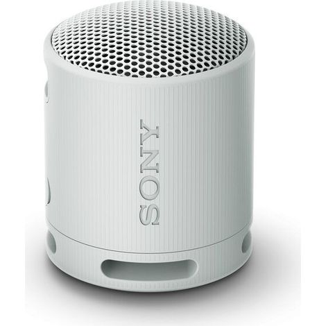 Sony SRS-XB100 Speaker Wireless Bluetooth Portatile Leggero Compatto Grigio (1/5)