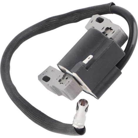 Bobine d'allumage Briggs & Stratton 492341 (1/5)