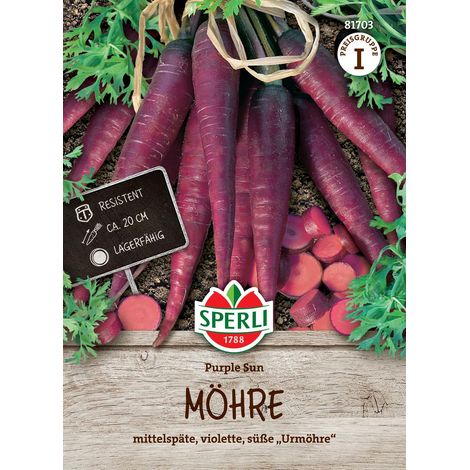 Sperli Möhren Purple Sun - Gemüsesamen (1/2)