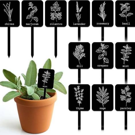24 étiquettes plantes acrylique - 12 modèles - Noms d'herbes inclus - Résistantes à l'eau (1/5)
