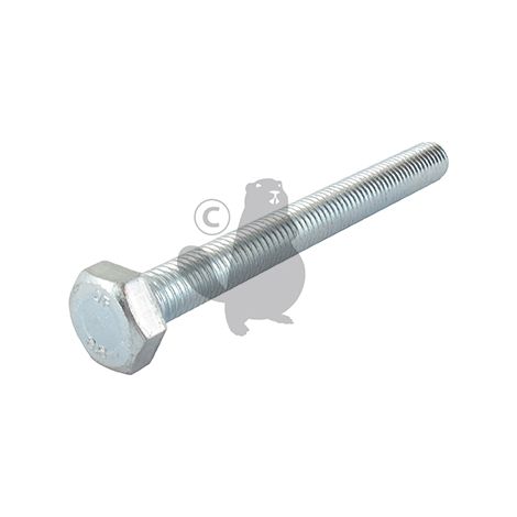 Vite testa M10x 100mm GGP - CASTELGARDEN 112794980/0
