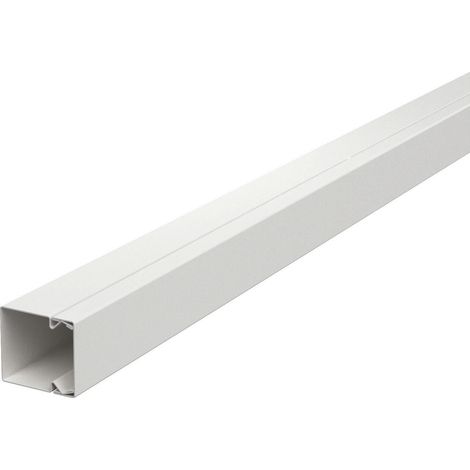 OBO Bettermann Canalina portacavi con foratura sul fondo 40x40x2000 acciaio zincato a nastro / rivestito in plastica puro..., 6248497