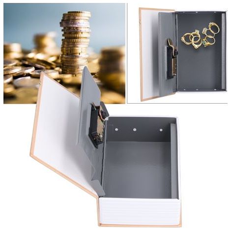 Coffre-fort Livre avec Intérieur Acier Inoxydable pour Bureau ou Maison (1/5)