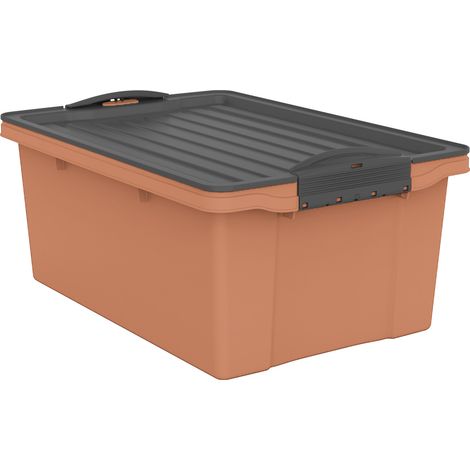 Rotho Aufbewahrungsbox Compact mit Deckel 39,5 x 27,5 cm 13 L clay koralle