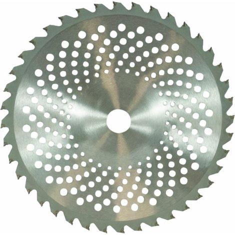 Disco di ricambio per decespugliatore con 40 denti e placchette in tungsteno con profilo bombato ampiezza taglio 255mm (1/2)