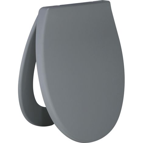 Primaster WC-Sitz mit Absenkautomatik hellgrau WC-Brille (1/3)