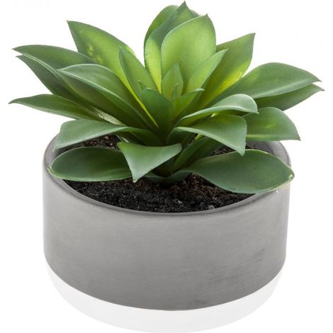 Plante grasse artificielle - D 12 x H 13 cm - Livraison gratuite (1/2)