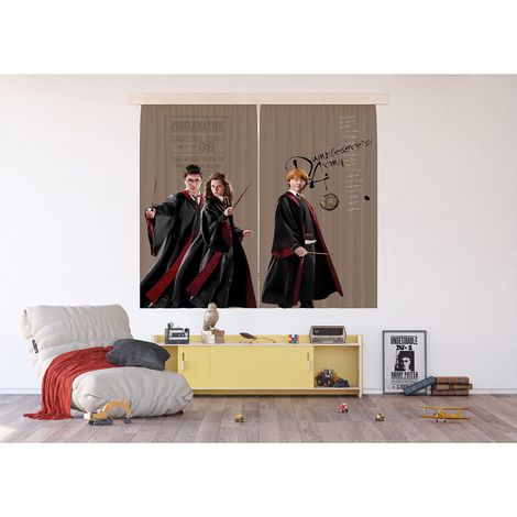 Rideaux Harry Potter 2 pièces – Dimensions L180 cm x H160 cm – 100 % polyester – Laisse passer la lumière – Motifs Hermione et Ron – Ag Art (1/3)