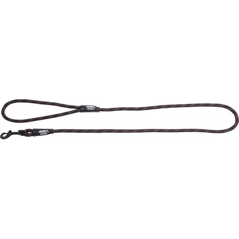 Laisse pour Chien Solide Luminous Dots - Sangle avec Points Lumineux et Crochet Robuste pour Balade, Promenade, Sortie - Couleur Noir/Noir, Taille 8 mm x 120 cm