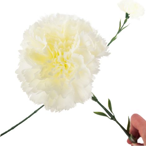 CV22527-1 EKLÄRE EINFACHE BLÜTE WEISS SCHÖN