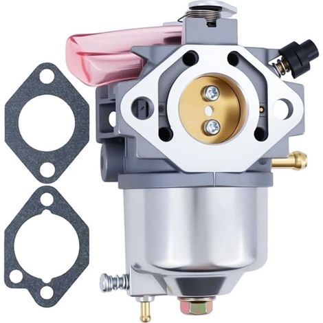 AM122462 Vergaser für GX70 GX75 SRX75 15003-2437 (1/4)