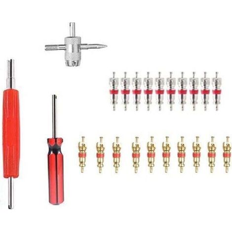 Jeu d'outils de noyau de valve Outil de retrait de noyau de valve 23 pièces (1/4)