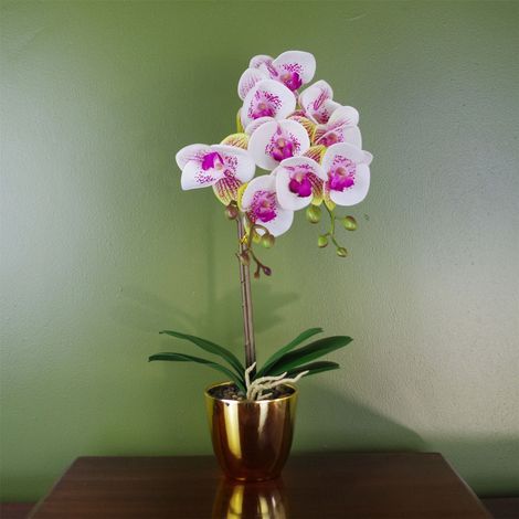 48cm Harlequin Orchid Artificial - Pink with Gold Pot (1/3)