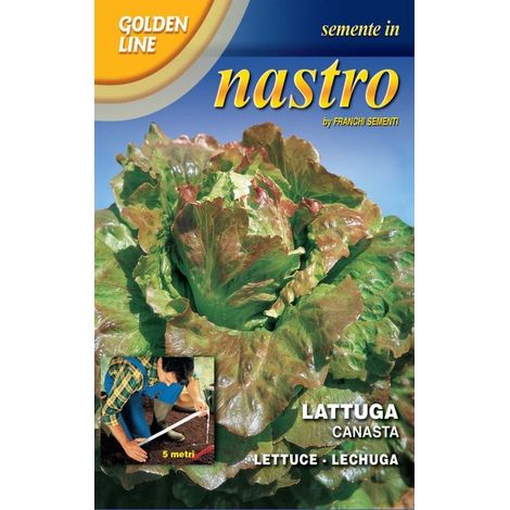BUSTINA NASTRO SEMI DI LATTUGA CANASTA (1/2)