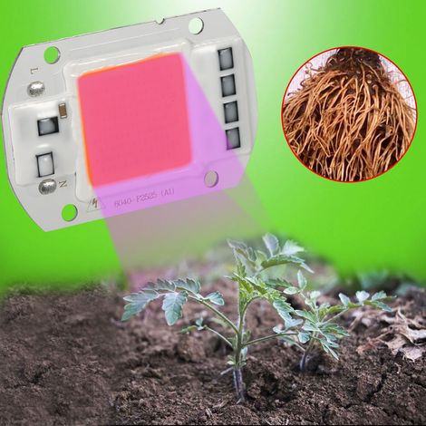Stück 50W Vollspektrum Warmweiß/Weiß LED COB Chip Pflanzenlampe für Garten und Hydrokultur (1/5)