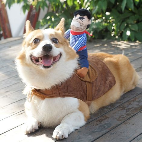 1 costume pour chien, style cowboy avec chapeau et poupée, en coton et flanelle, pour chats et chiens, adapté aux fêtes (1/5)