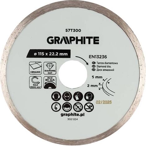 DISCO DIAMANTATO Ø 100 mm - foro 22,2 mm