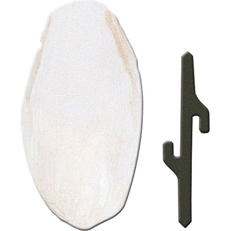 Ferplast Os de seiche PA 4330 Os de seiche pour oiseaux. Variante PA 4330 - Misure: 5 x 1.5 x h 12.5 cm -