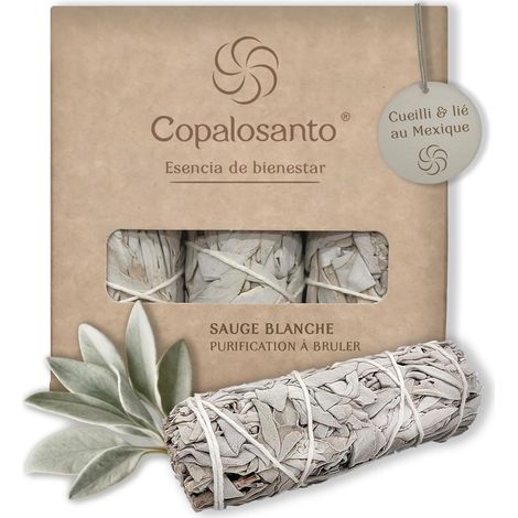 Lot 3 Sauge Blanche Purification A Bruler Baton Encens Naturel Maison Rituel Relaxant Protection Energetique Nettoyage Spirituel Purificateur Atmosphere Esoterisme Meditation Bienetre Cadeau Positif (1/5)