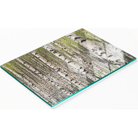Tabla decorativa de cristal para servir aperitivos, dise帽o Bosque de Abedules, 80x52 cm