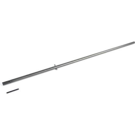 Dispositif d'insertion pour sonde RAUGEO