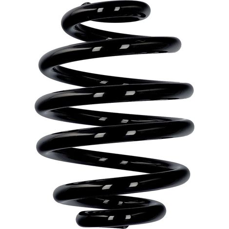 Muelle de serie Eibach ERL BMW trasero R15226 (1/2)